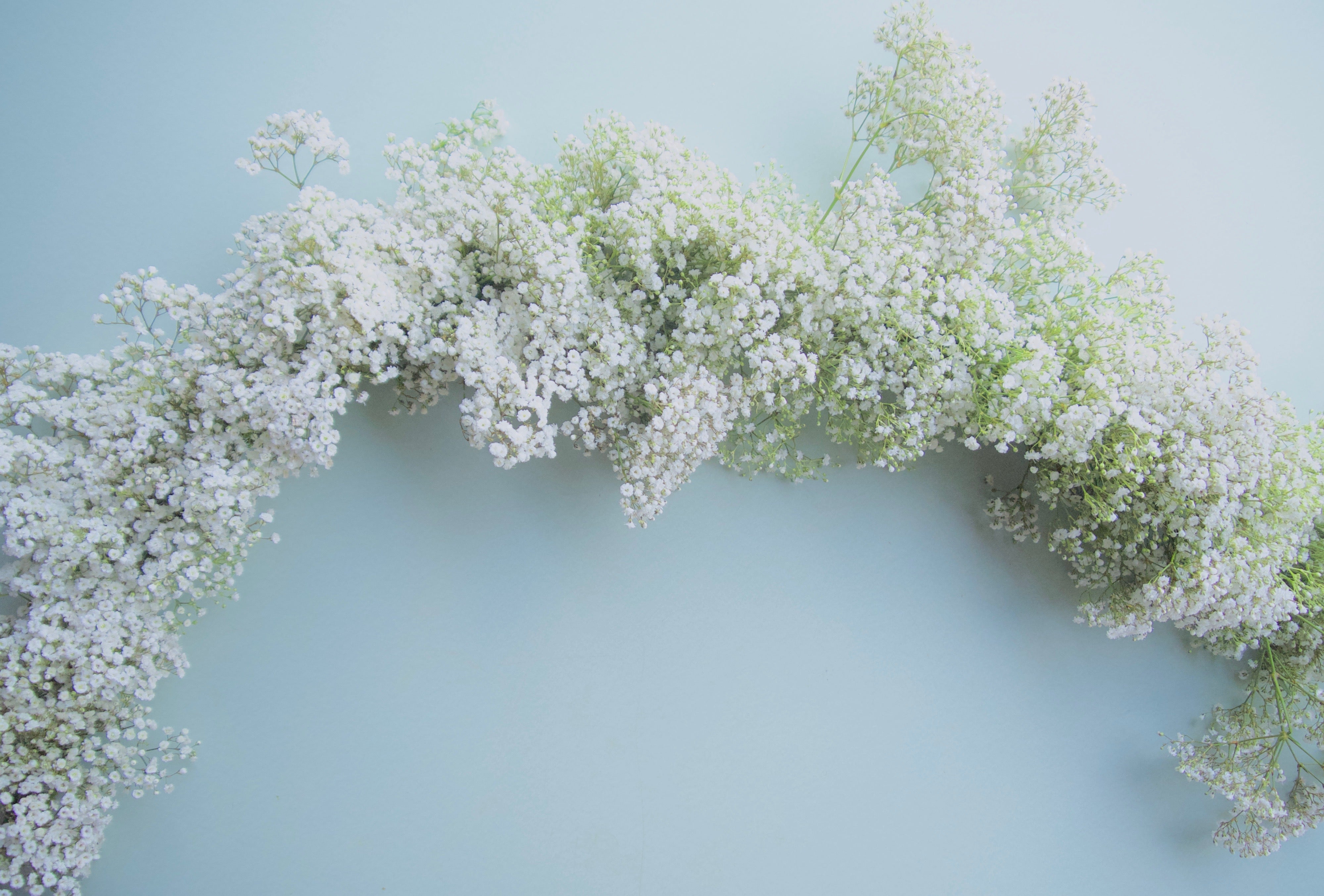 How to Make a Baby's Breath Garland 